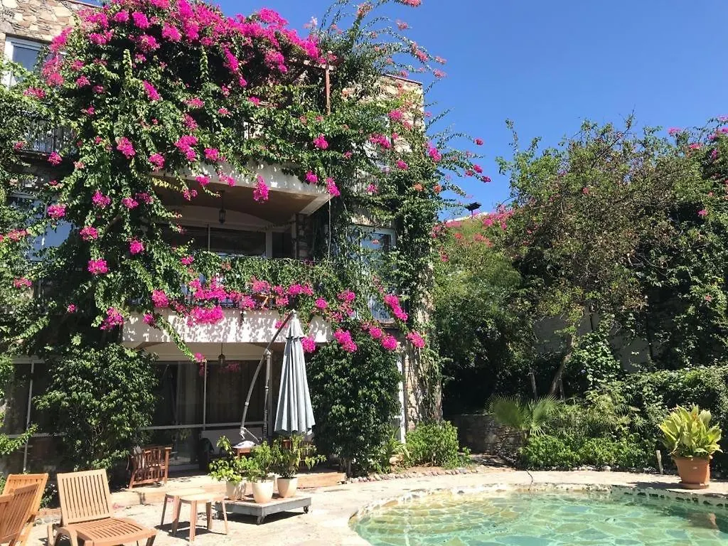Triplex Villa With Private Pool And Garden의 연락처